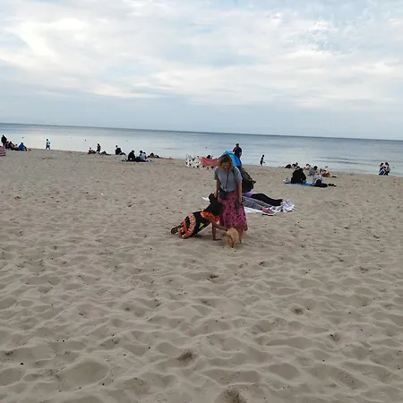 Dom wakacyjny Szyper *