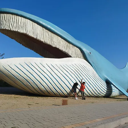 Szyper * Władysławowo