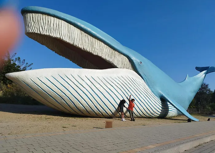 Szyper * Władysławowo